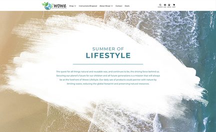 WOWE website design